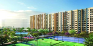 Century Silicon City